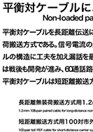 平衡対ケーブルによる無装荷搬送方式などの展示パネルの一部