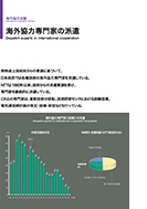 海外協力専門家の派遣のPDF画像の一部