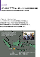 インドネシアプロジェクト(インドネシア電話網増設事業)のPDF画像の一部