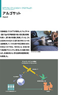 アルゴサットのPDF画像の一部